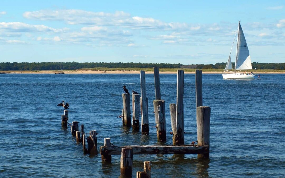 Dummy post for position only